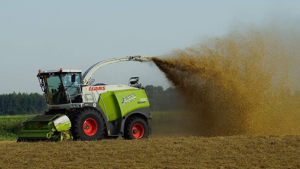 Claas Jaguar 930 stro aan het hakselen Trekkerweb