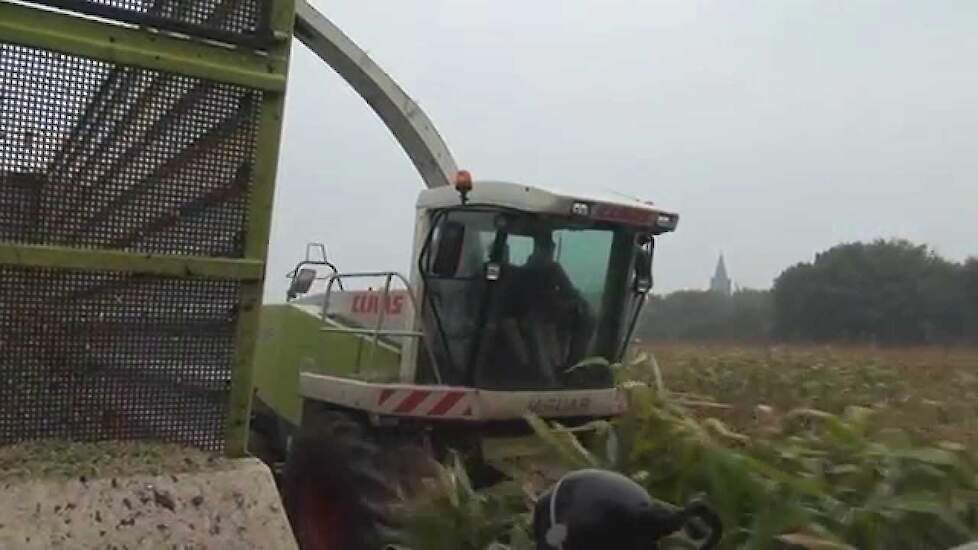 Loonbedrijf J.van Elst Stoutenburg met Claas Jaguar 900 in de maïs - Trekkerweb