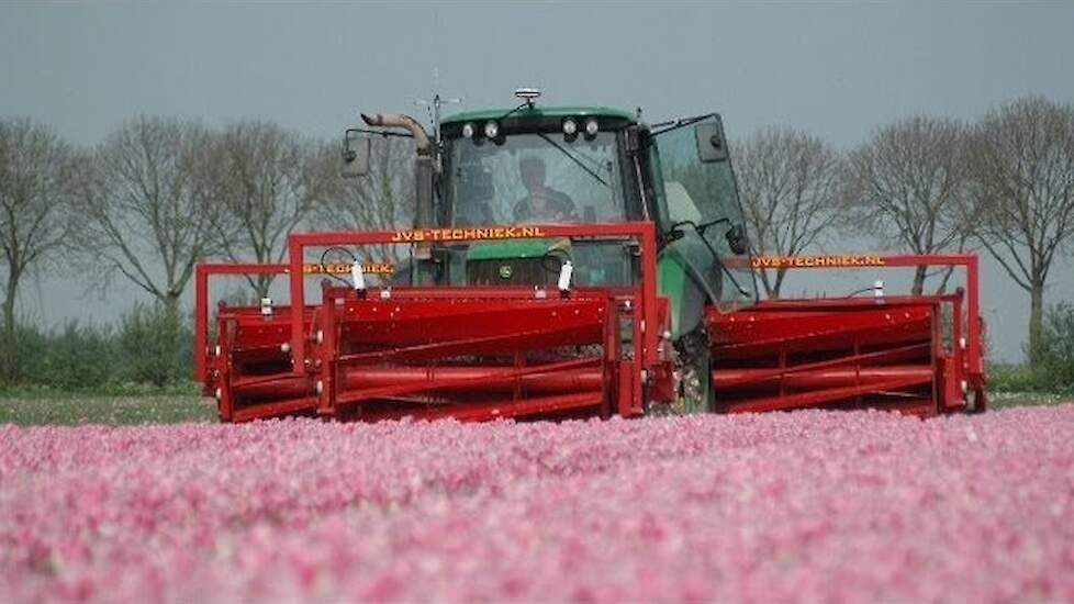 Tulpen koppen bij Ronico BV Trekkerweb