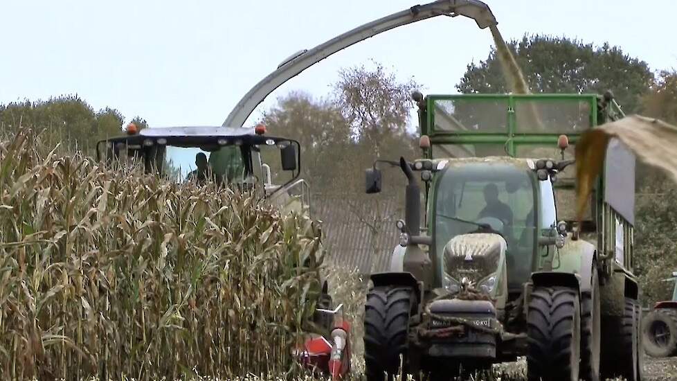 Snijmais teelt Boeren voor drinkwater Stimuland