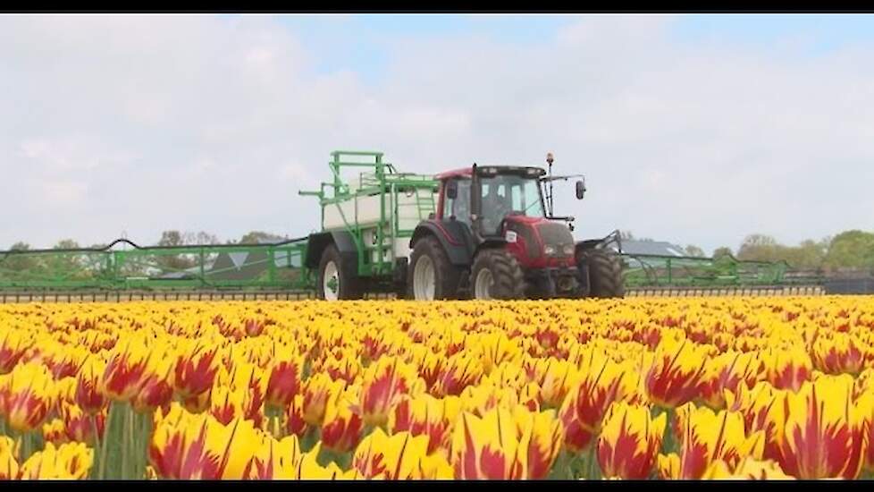 De Wingssprayer in actie in de Hollandse tulpen Trekkerweb