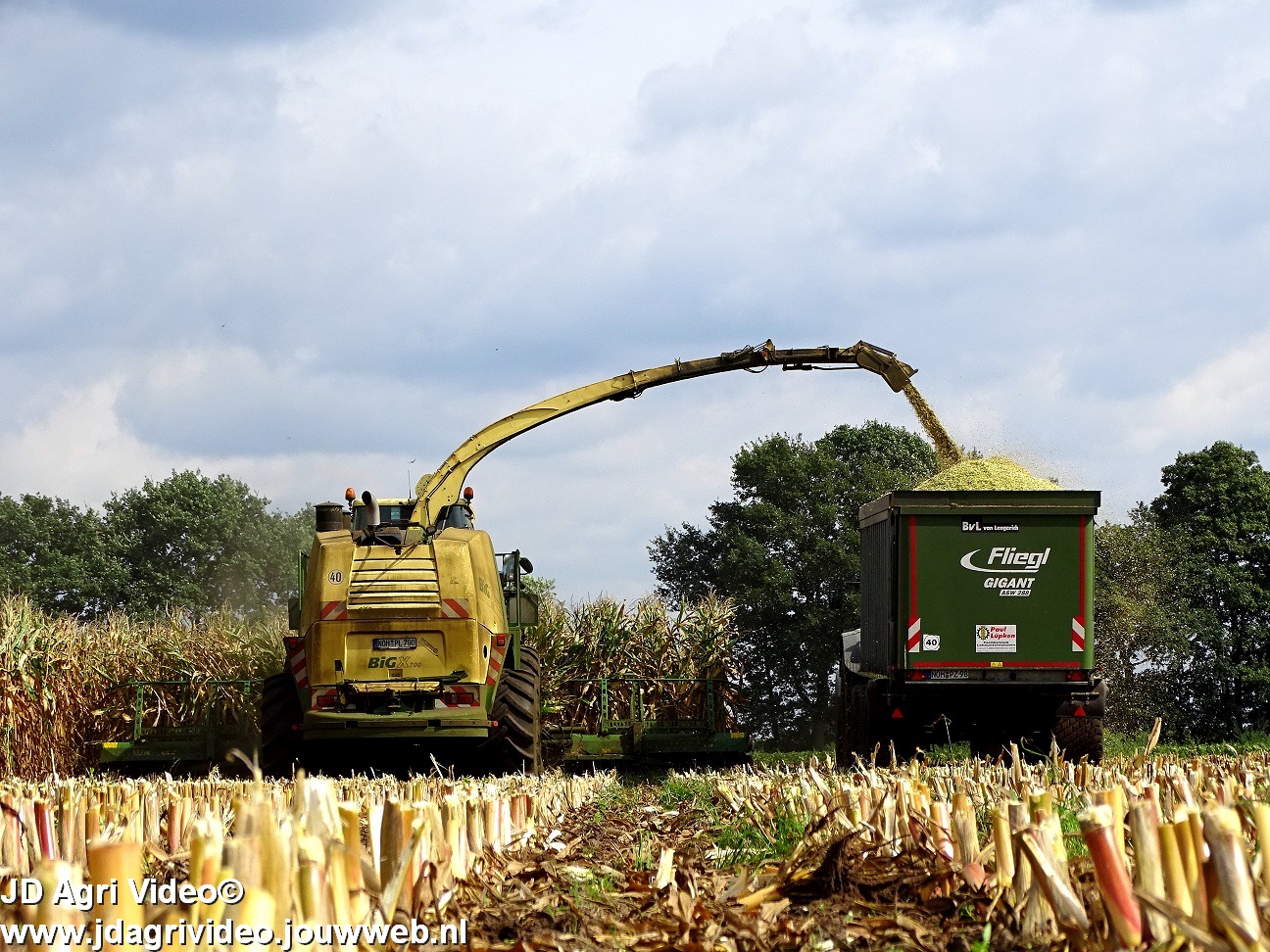 Mais Hakselen Met XXL Transportcombinaties | Trekkerweb.nl ...