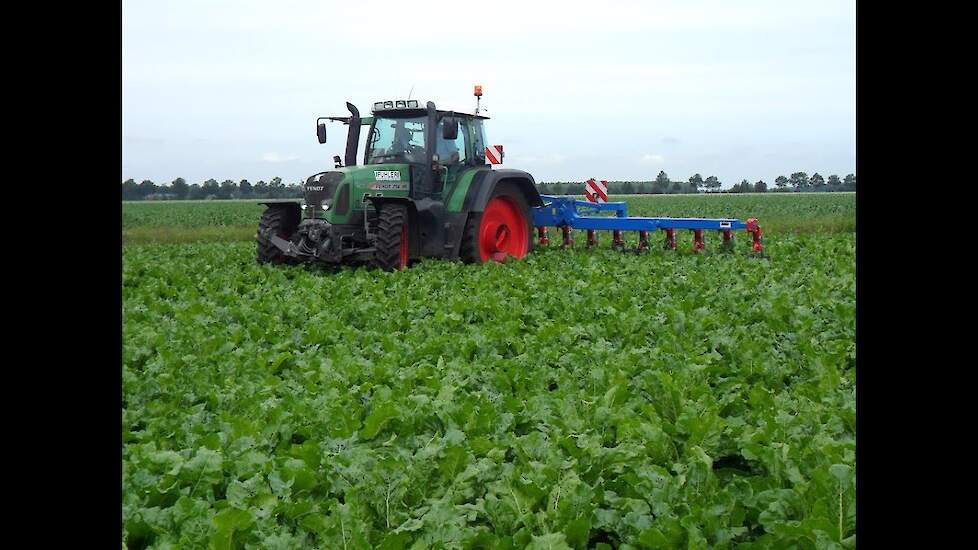 Fuhler uit Emmen aan het bietenaanaarden 18 rijer schoffeltuig van Zibo