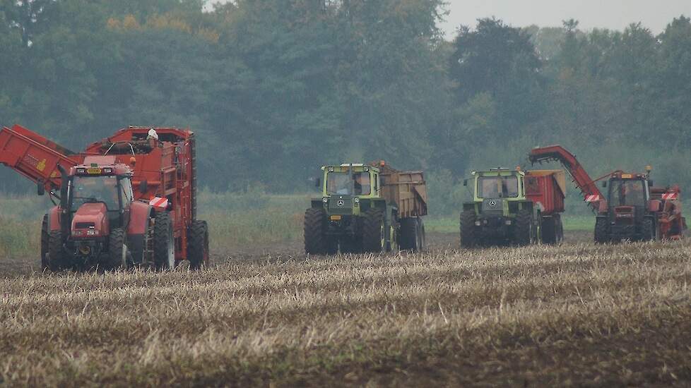 MB Trac 1500 in aardappeltransport bij Loonbedrijf Stevens Wildervank Grimme Trekkerweb