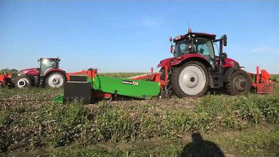 UIEN ROOIEN MET CASE IH MAXXUM 1455 CVX CASE 115 HOLARAS