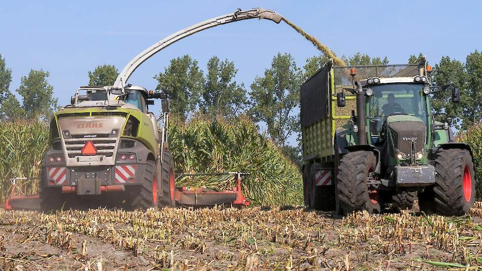 [ Mais 2020 ] Claas Jaguar 950 + 3x Fendt | Jennissen | Corn Silage Harvest - Maize