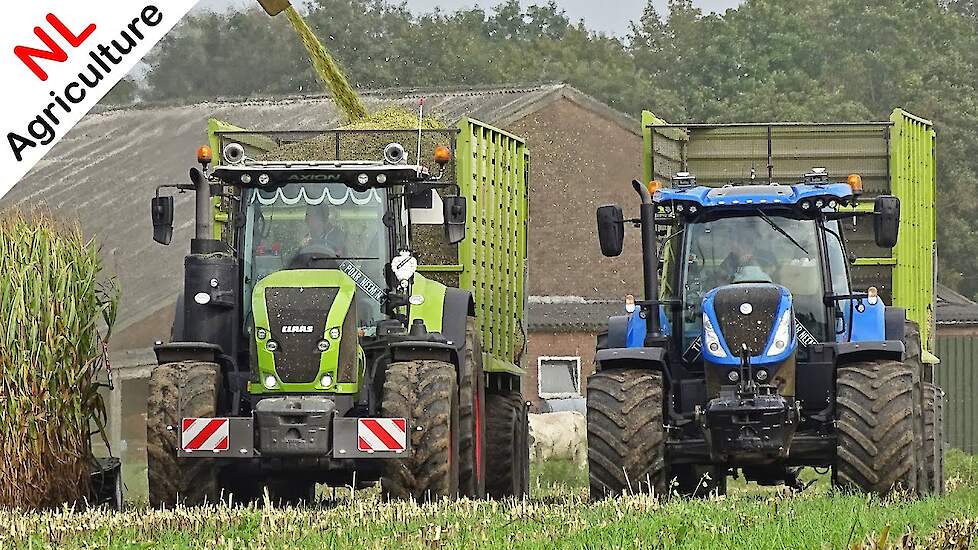 Mais hakselen 2020 ● Krone BiG X 850 + 10 rijer ● Claas Axion 920 & New Holland T7.230 ● Nikkels.