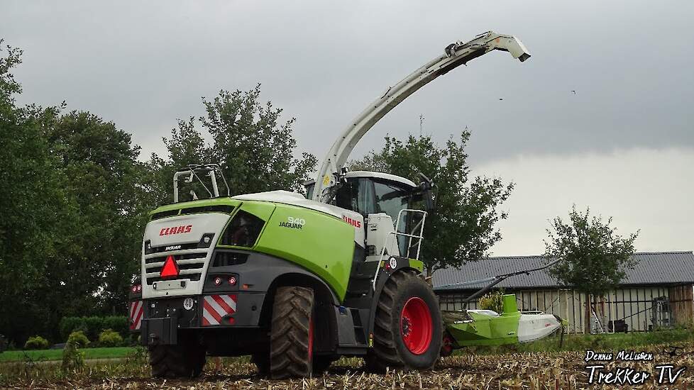 Mais hakselen 2020 | Claas Jaguar 940 | Fendt 4x + Fendt Xylon | Schimmel Scherpenzeel | Barneveld