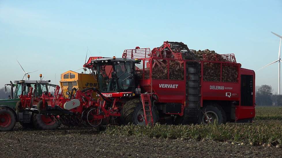 Vervaet Q621 van Dieleman uit Slootdorp