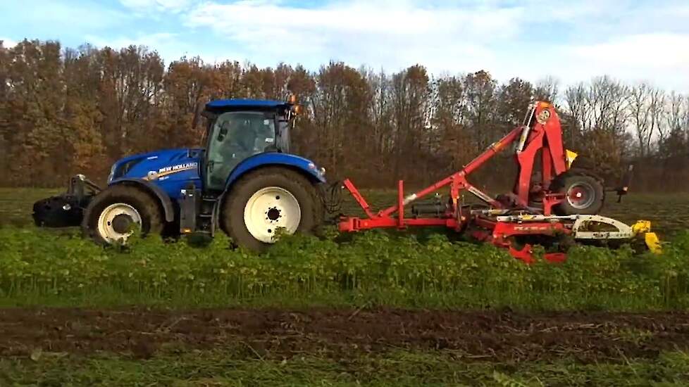 Groenbemester onderwerken met een 6 meter Pöttinger Terradisc schijveneg