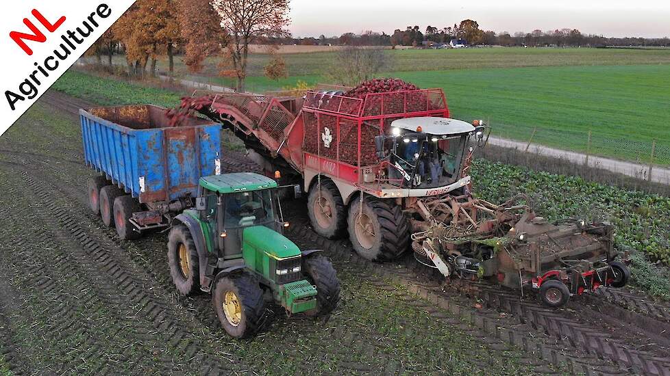 Beet harvest 2020 ● Vervaet Beet Eater 625 ● Bieten rooien ● Rübenernte ● Van der Woerd.