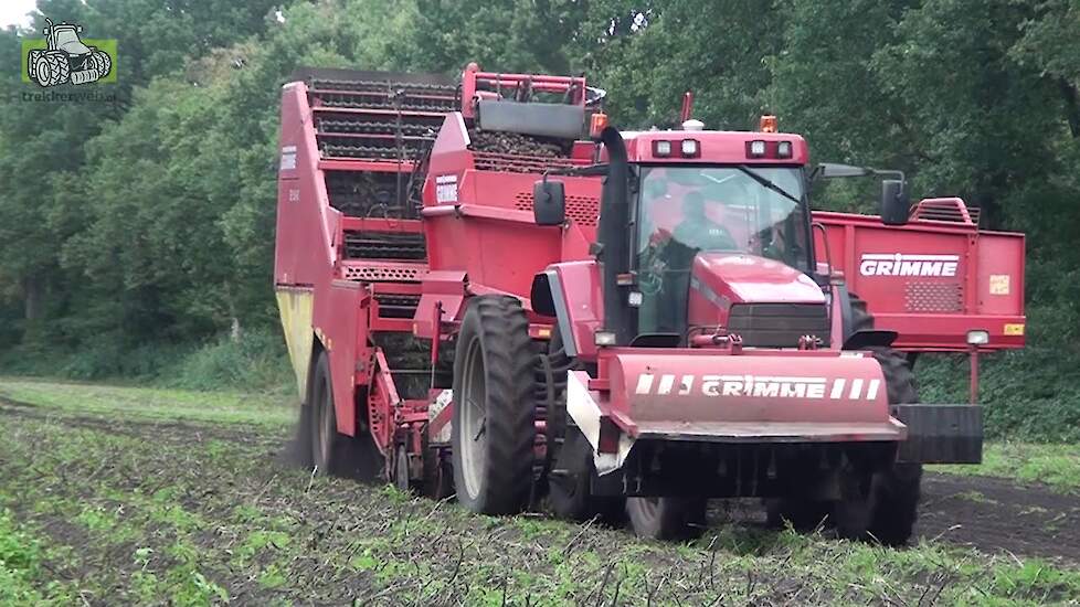 Case-IH MX 170 brullen voor de Grimme