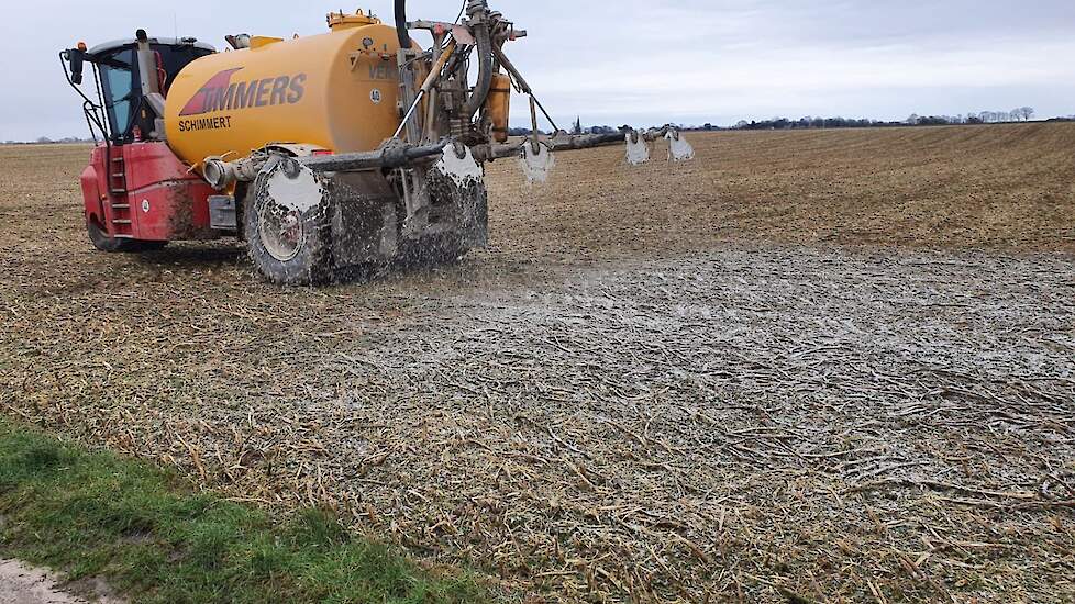 Het effect van bekalken op de bodem is ruimer dan enkel het verhogen van de pH. Kalk brengt de bodem terug tot leven. Micro-organismen en regenwormen zijn veel actiever, waardoor de vertering van het organisch materiaal sneller verloopt en de bodem luchti