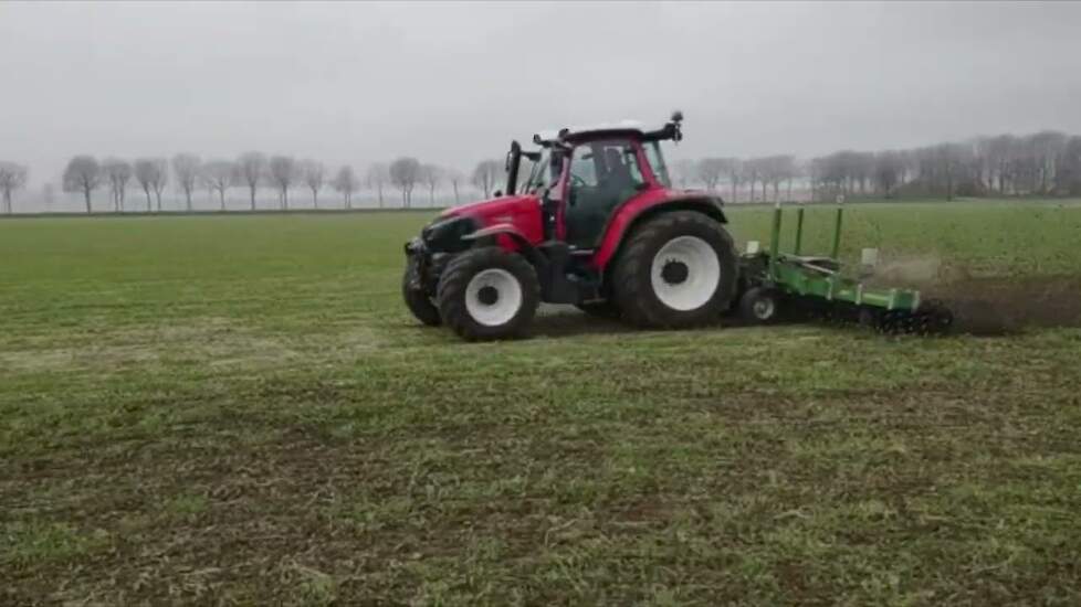 Mechanische onkruidbestrijding met de Roterende Wiedeg