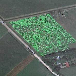 Foto van een dronekaart waarop herkende aardappelopslag te zien is. De kaart wordt gebruikt als taakkaart voor veldspuiten. Door de cirkelgroottes rondom herkende aardappelplanten te variëren (nauwkeuriger of minder nauwkeurig spuiten) kan rekening gehoud