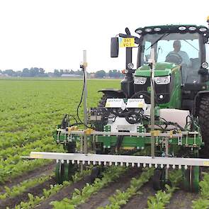 De Homburg Garford SpotSprayer is in de laatste fase van ontwikkeling. De machine scant met camera's het gewas, herkent de bietenrijen en bestrijdt alle groen tussen de rijen. De (blad)grootte van het onkruid of de aardappelopslag waarop het systeem reage