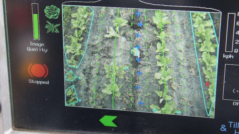De camera's op de SpotSprayer detecteren binnen hun bereik van 1,5 meter de bietenrijen. De trekkerchauffeur stelt naast deze rijen links en rechts een grenslijn in. Alles buiten deze lijnen, dus tussen de rijen, wordt als ongewenst beschouwd en behandeld