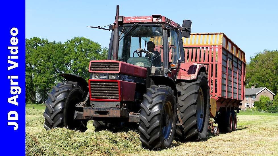 Case International 956XL + Miedema | Gras inkuilen | Grass silage | Gras einfahren | Lunteren