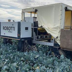 RoboVeg Robotti – autonomous robot for selective broccoli harvesting