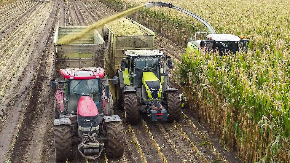 Mais Silage 2021 with Claas Jaguar + Axion 150.000 + Case IH | Pleizier & Timmer