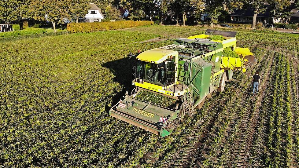 Picking Green Beans with Ploeger | Van Dun | 2021