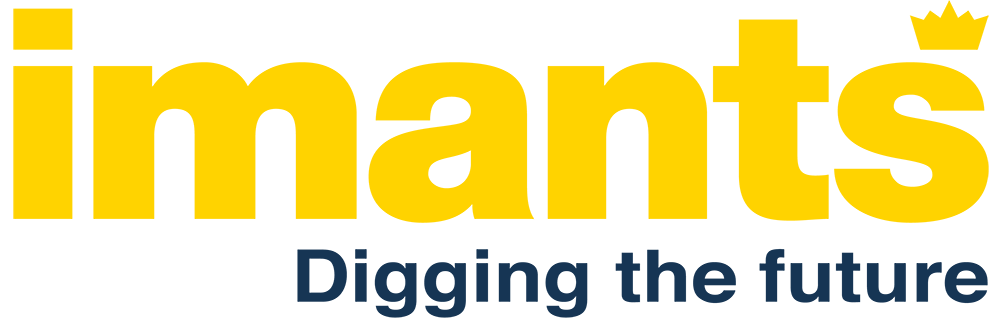 Logo Imants