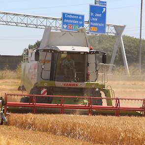 Linssen teelt de gerst op zandgrond. Met dit in zijn achterhoofd is hij tevreden over de opbrengst van 6,5 ton/ha. „Zeker met de huidige graanprijzen een interessant saldo”, aldus Peter Linssen.