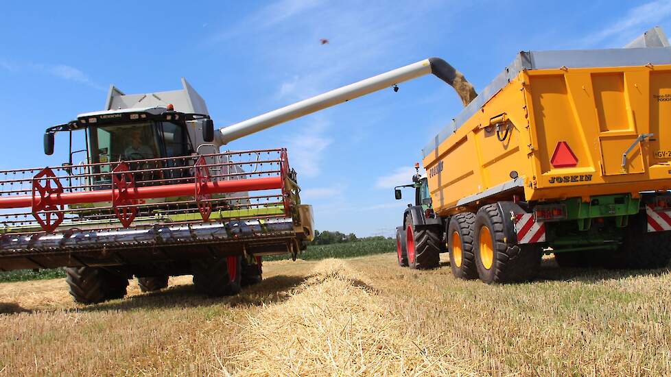 De brouwgerst gaat als maalgerst weg via Mooren Agro in Montfort. „Het vraagt nogal wat extra aandacht om aan de eisen van de brouwers/mouters te voldoen. Deze extra aandacht zie ik vervolgens niet terug in de prijs. Het prijsverschil tussen brouwwaardige