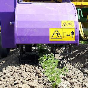 De machines van Feldklasse frezen door de grond en kunnen tot 1,5 centimeter dicht bij het gewas werken. Ook met schoffels uit te rusten.