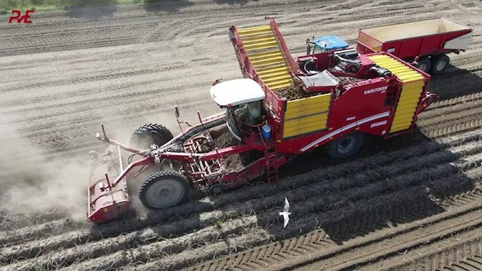 Aardappels rooien met Grimme Varitron 470