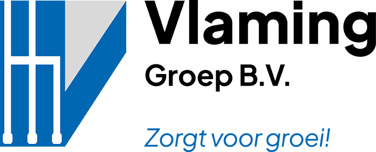 Logo Vlaming Groep