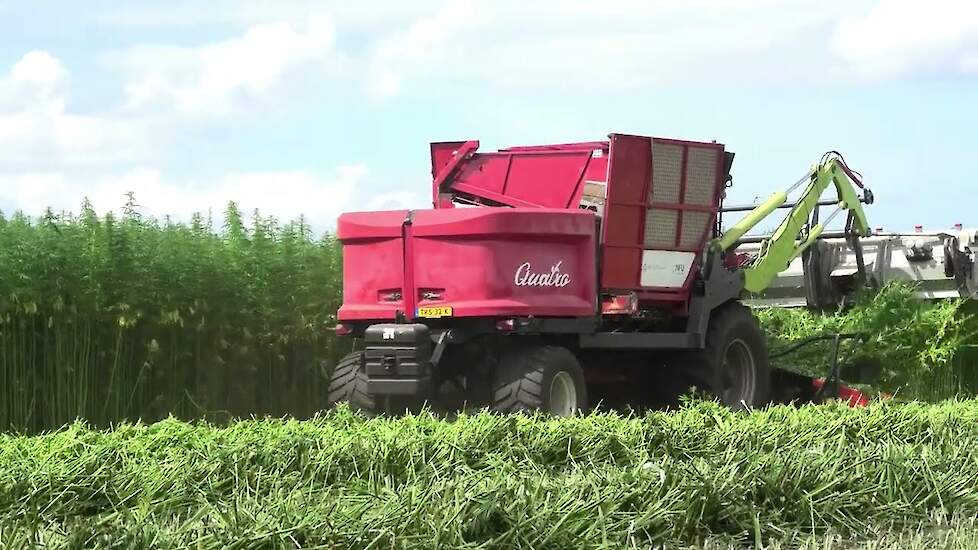 VEZELHENNEP MAAIEN MET EEN AGRIFAC QUARTRO