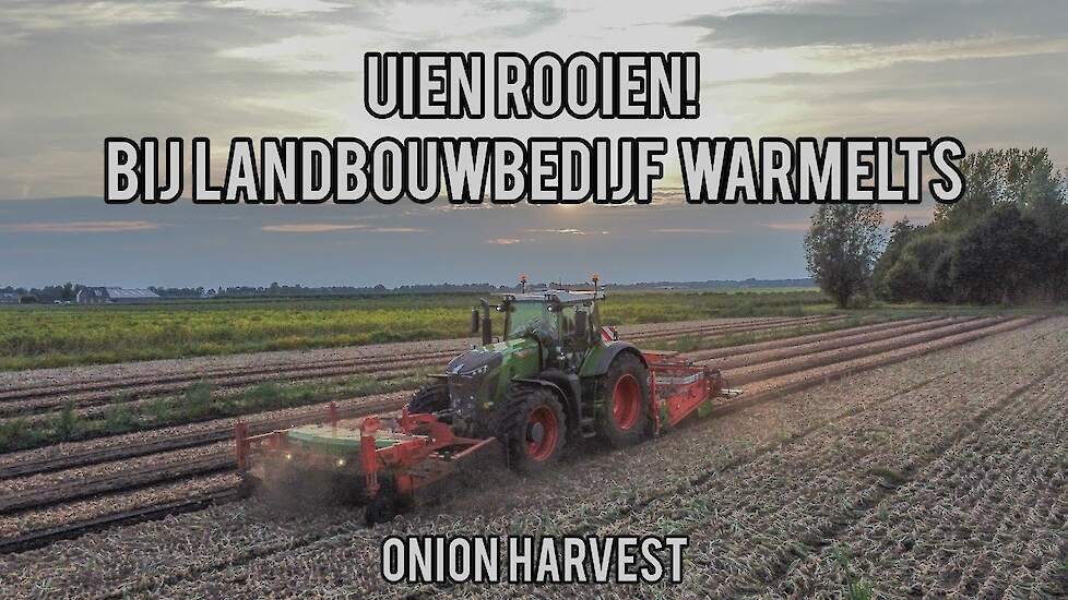 uien rooien [#onion #harvest] met een Fendt 930 en 824! akkerbouwbedrijf Warmelts #fendt  #drone