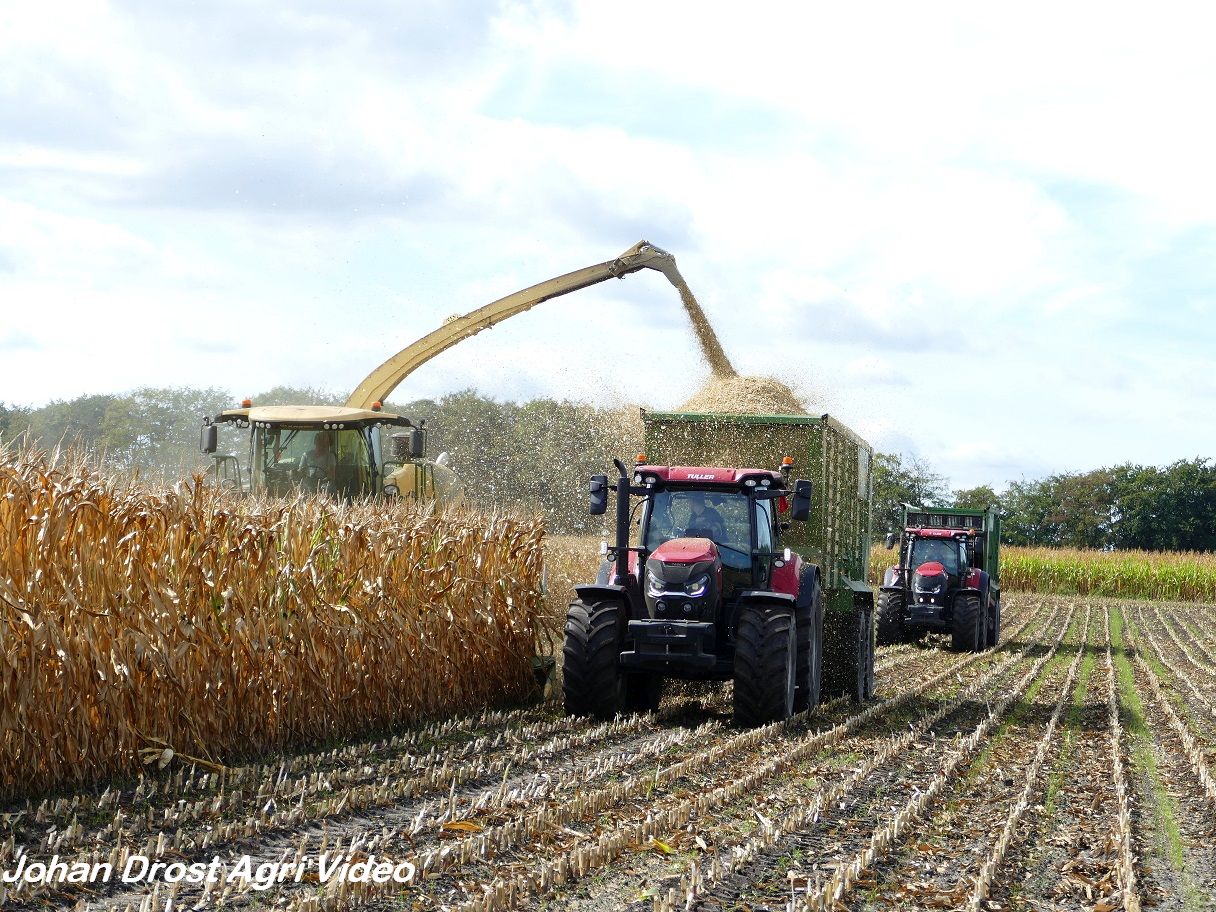 Krone Ma S Hakselen Met Krone Big X Trekkerweb Nl Mechanisatienieuws Voor De Landbouw