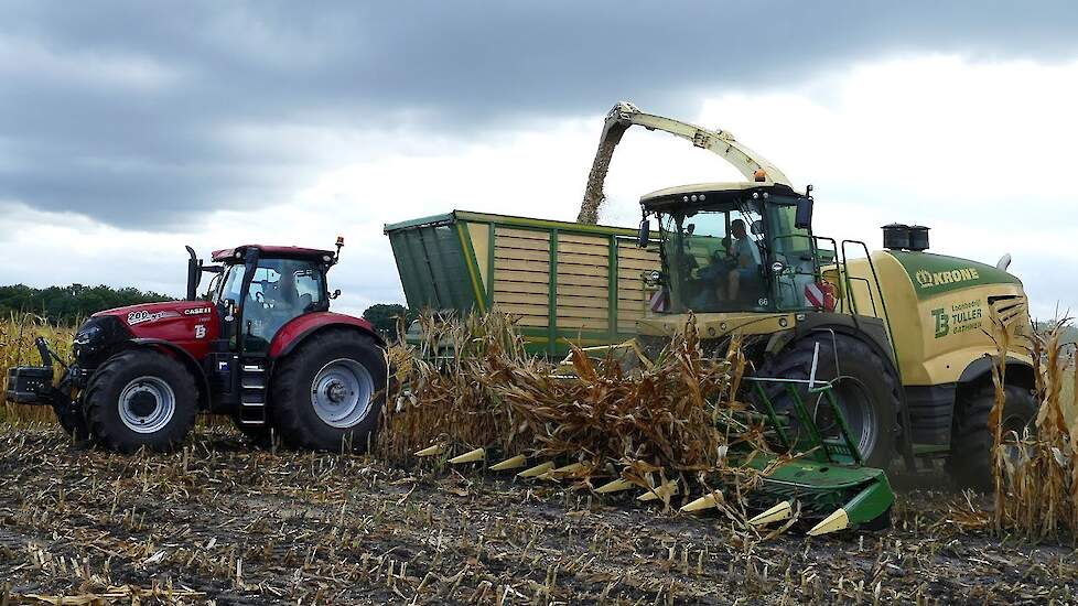 Mais Silage 2022 | Krone Big X 680 | 3x Case IH Puma 200 AFS | Tuller Bathmen | Maishakselen