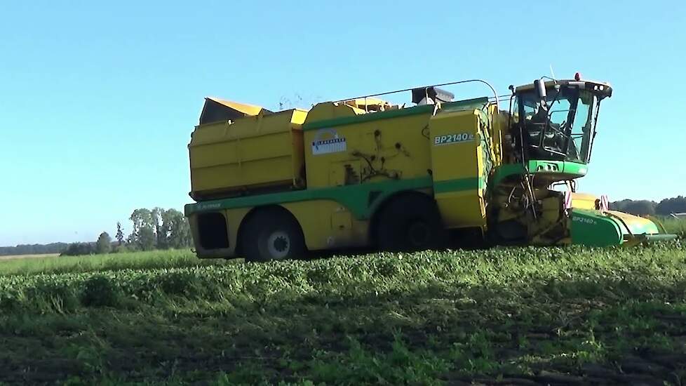 BONEN OOGSTEN MET EEN PLOEGER BP 2140 E BONENPLUKKER / LAARAKKER BV