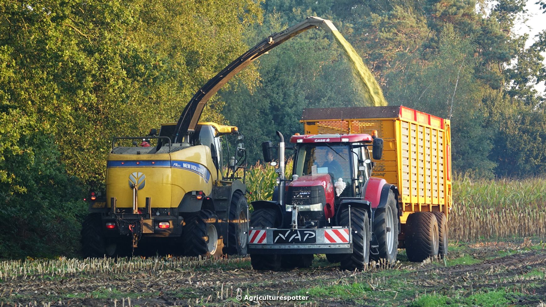 New Holland FR600 Van Loon- En Grondverzetbedrijf Nap Uit Ede ...