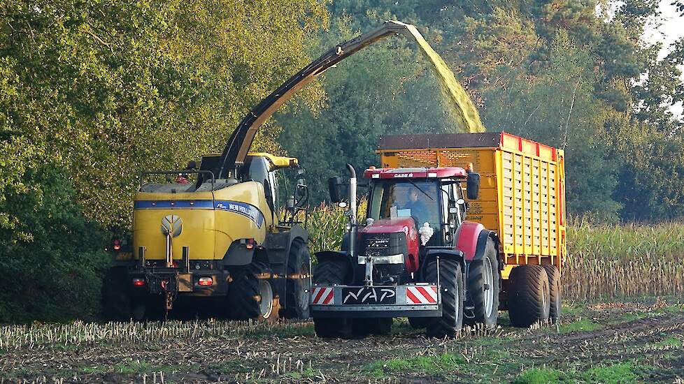 Mais Silage 2022 | New Holland FR600 + Case IH + Valtra | Nap | Renswoude