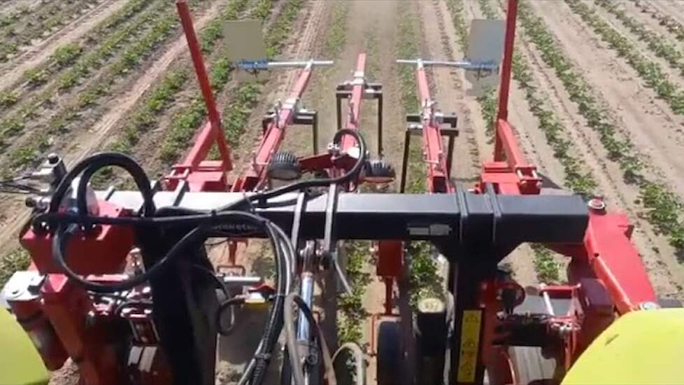 Steketee schoffelmachines voor in de boomkwekerij