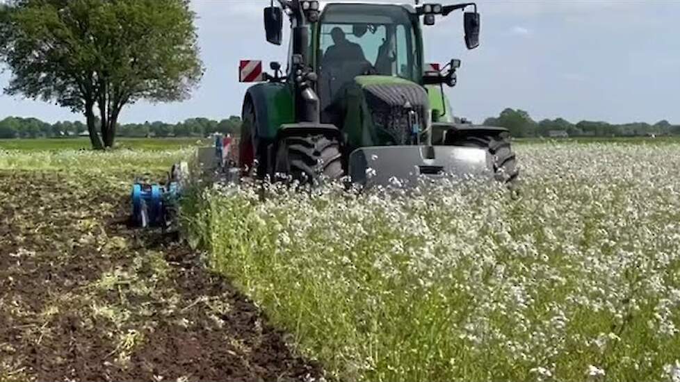 Bladrammenas- en graangroenbemester inwerken met de Lemken Heliodor