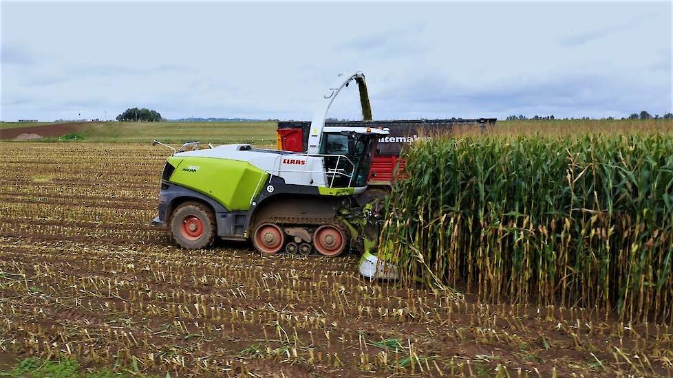 Claas Jaguar 960 TerraTrac hakselaar op rupsen