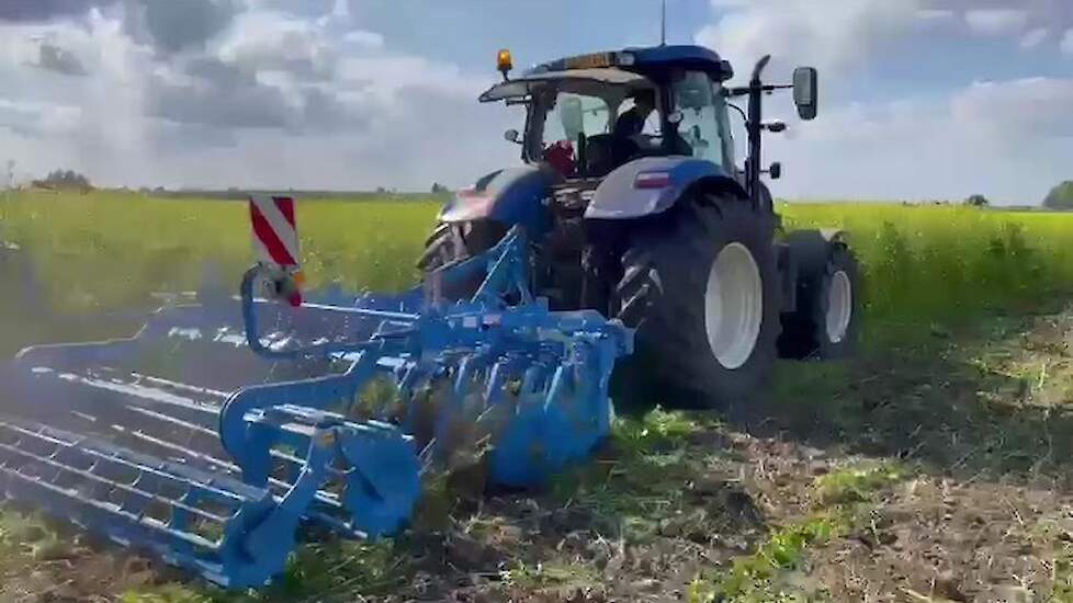 Lemken Rubin 10 in de groenbemesting