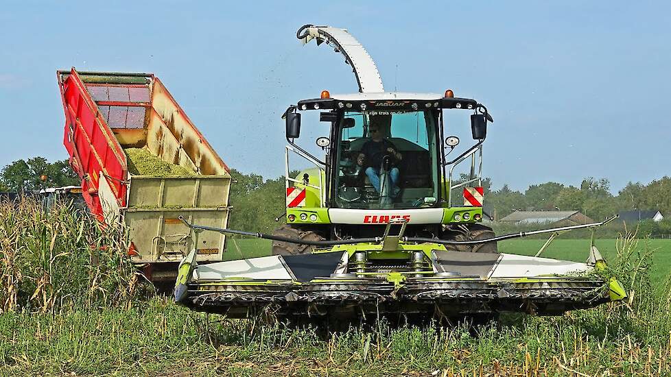 Mais Silage 2023 | Claas Jaguar 940 + Fendt | Geresteijn