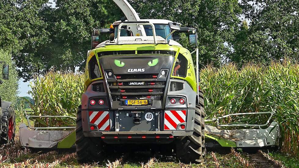 Mais Silage 2023 | Claas Jaguar 950 + Fendt | Schimmel