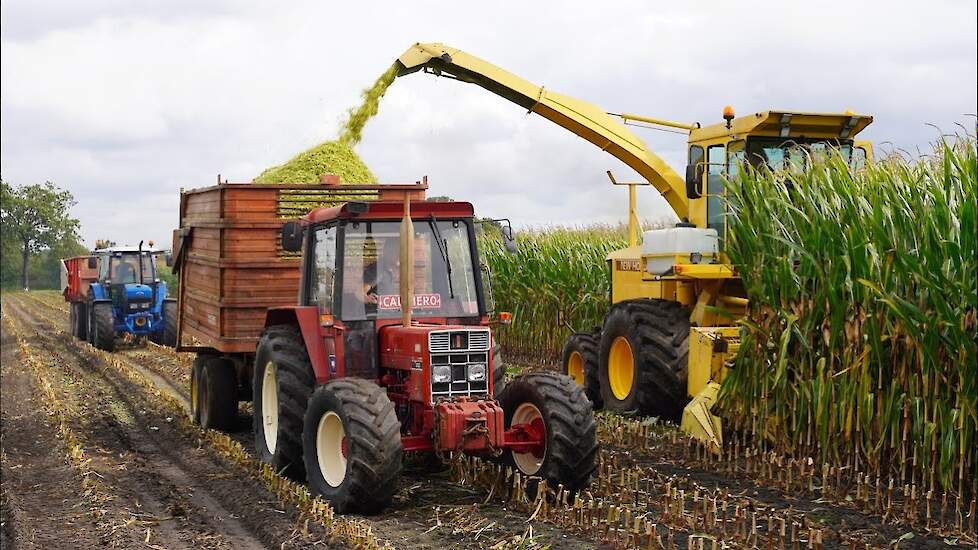 Maïs 2023 | New Holland 1805 + International 833 + Ford 7840 | van Norel Doornspijk | Maïs hakselen