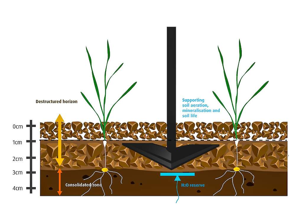 Kverneland ONYX combineert effectief onkruid wieden, het afdekken van het oppervlak en  het beschermen van de bodemvochtigheid.