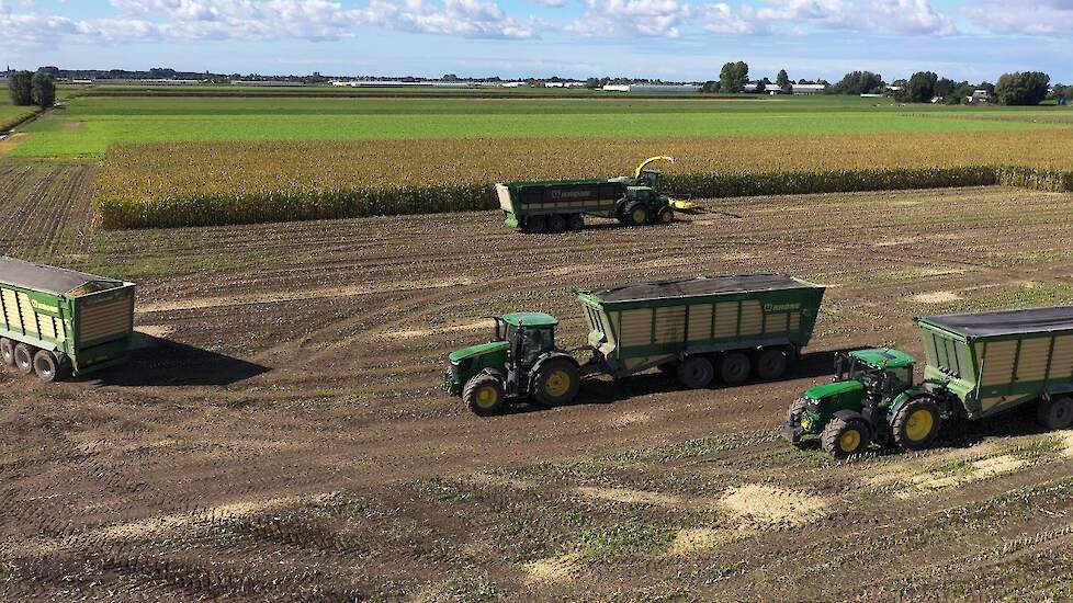 Vier maal Krone 560 TX met 56 kuub in de snijmaïs