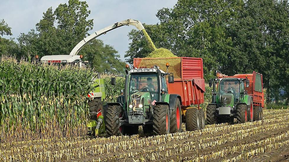 Mais Silage 2023 | Claas Jaguar 870 + Fendt + Deutz-Fahr | Donkersteeg