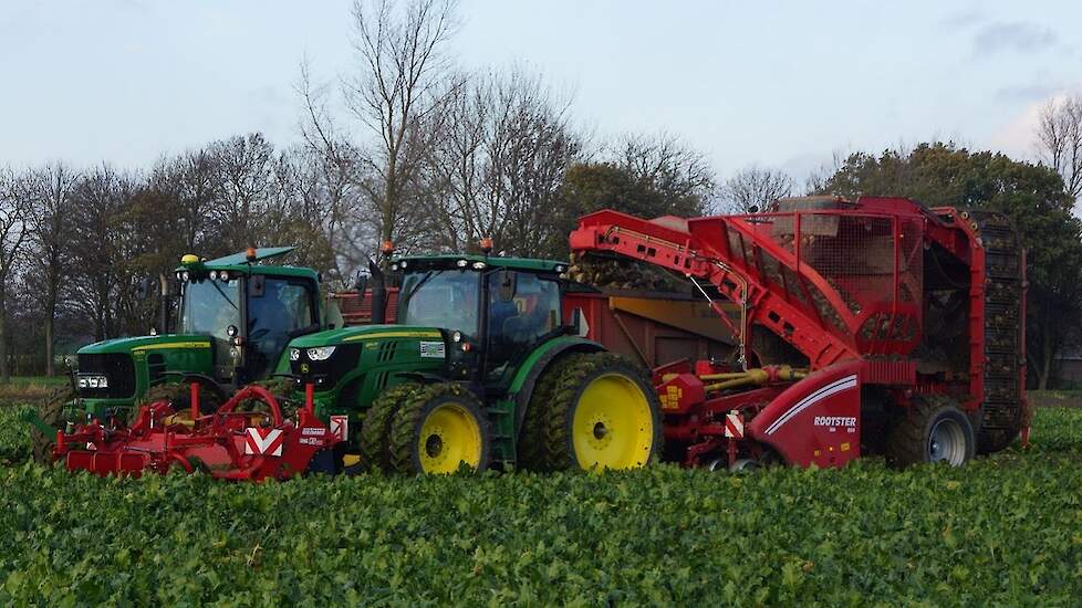 Sugarbeet harvest Grimme Rootster 604 en Grimme FM300-frontklapper Trekkerweb