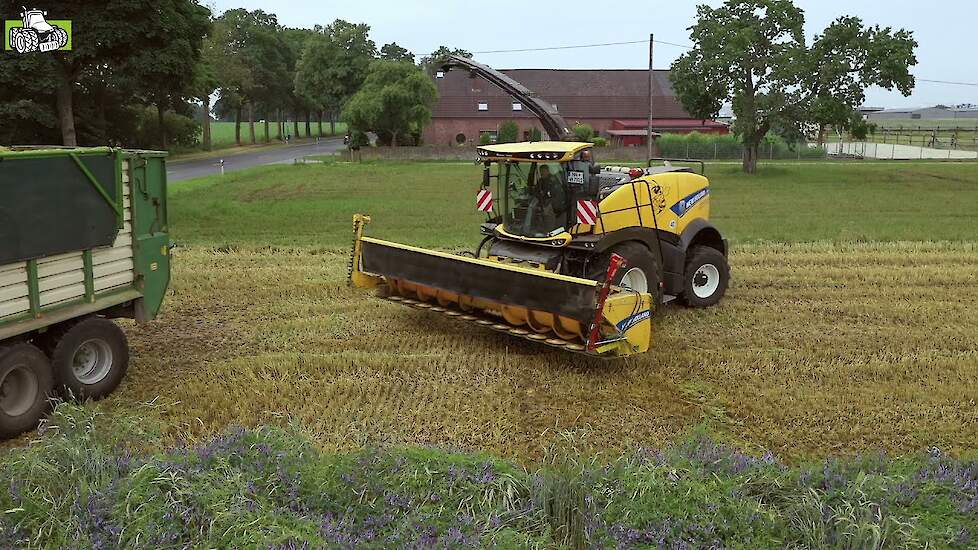 New Holland FR780 Gehele Plant Silage voor biogas installatie